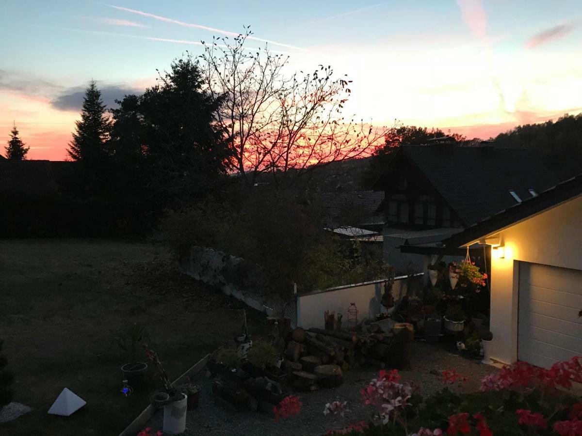 Zur Waldauer Hoehe Mit 3 Sz, 120qm & 40qm Balkon Apartment Schleusingen